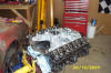 ta816b.JPG - 32434 Bytes